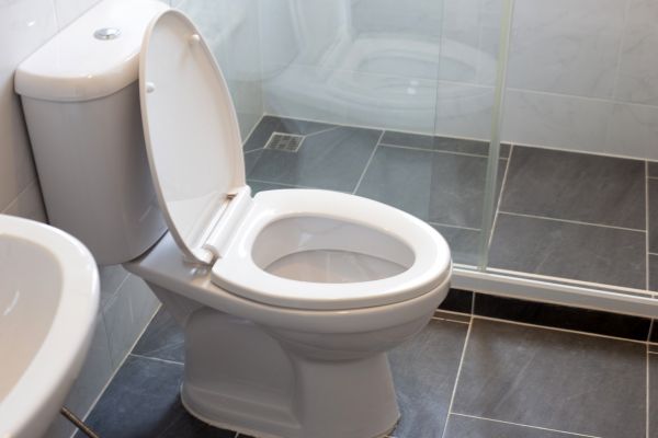 Toilet Replacement in Los Gatos