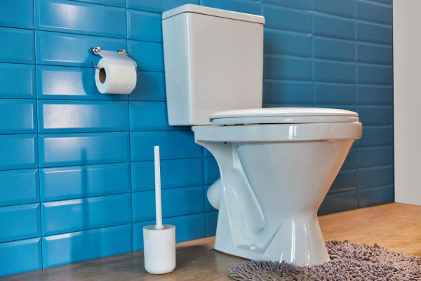 Toilet Tank Repair in Los Gatos