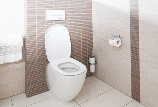 Toilet Plumbing Installation in Los Gatos